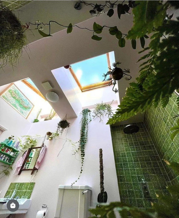 Capelo green - Image 7