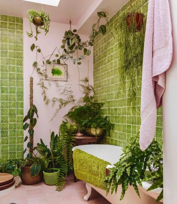 Capelo green - Image 8