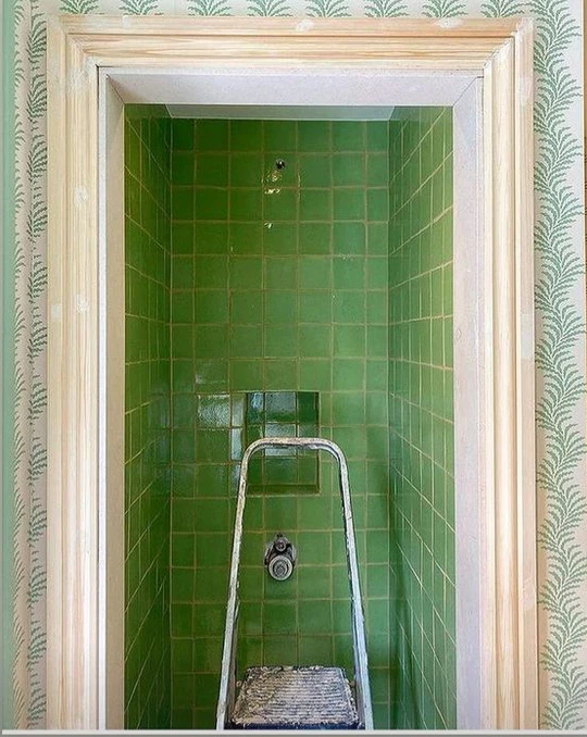 Claro green - Image 5