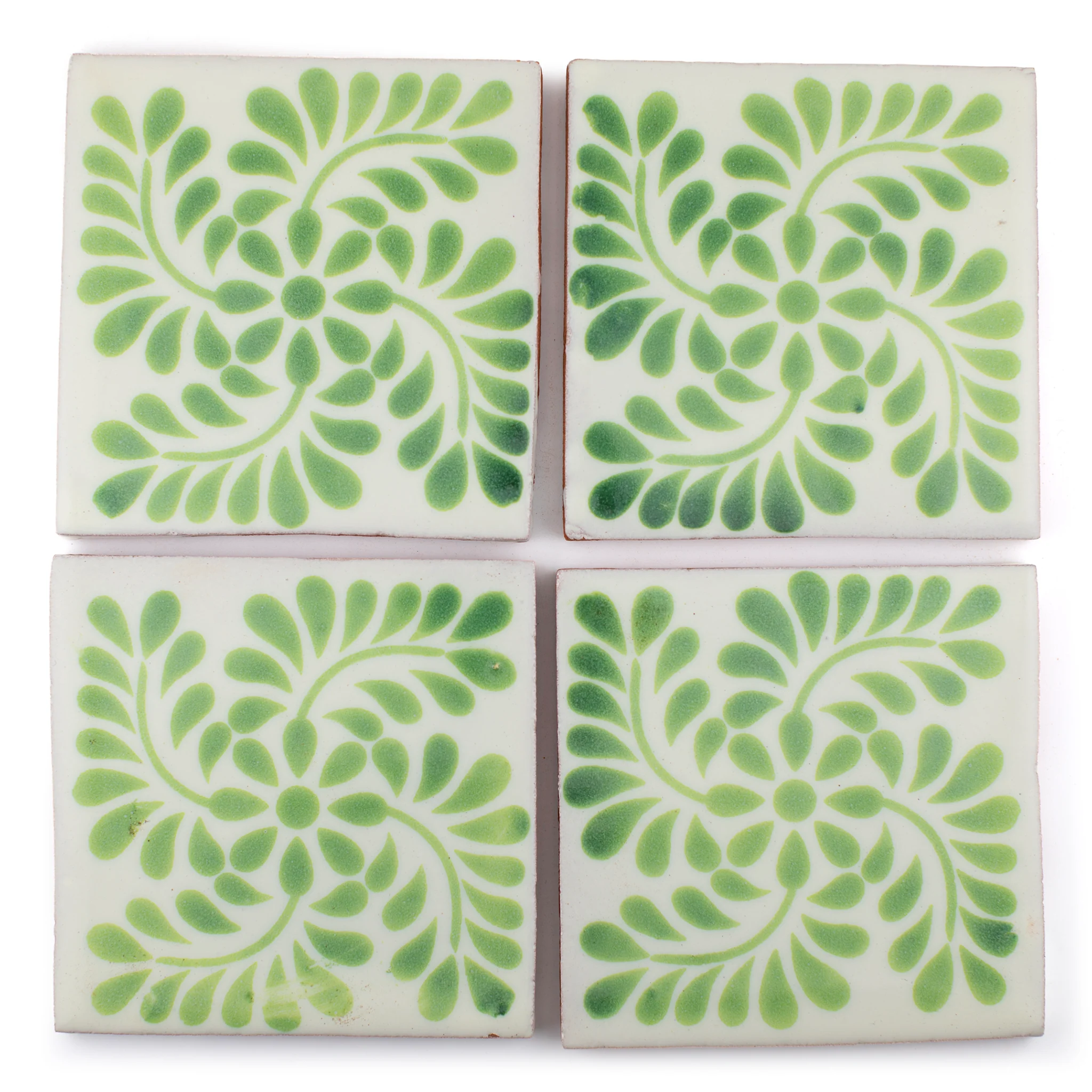 Fern - Image 2