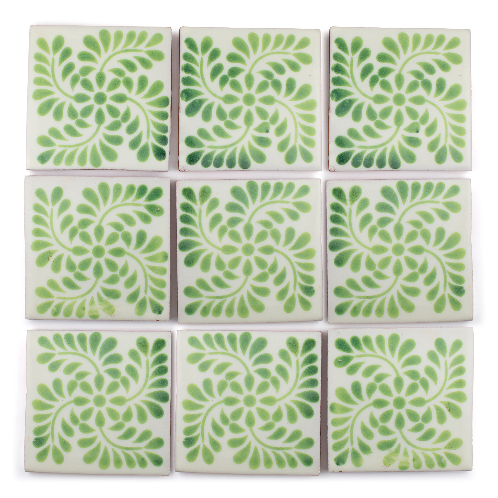 Fern - Image 3