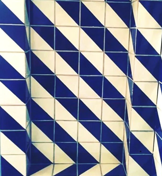 Harlequin blue - Image 10