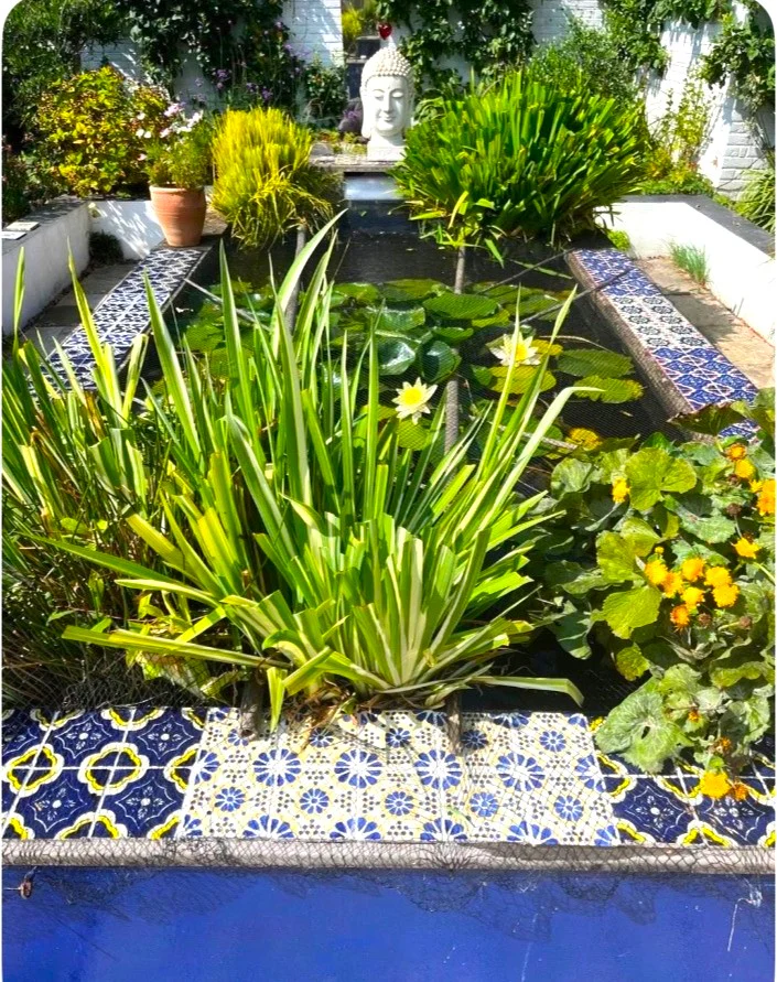 Palacio blue & yellow - Image 5