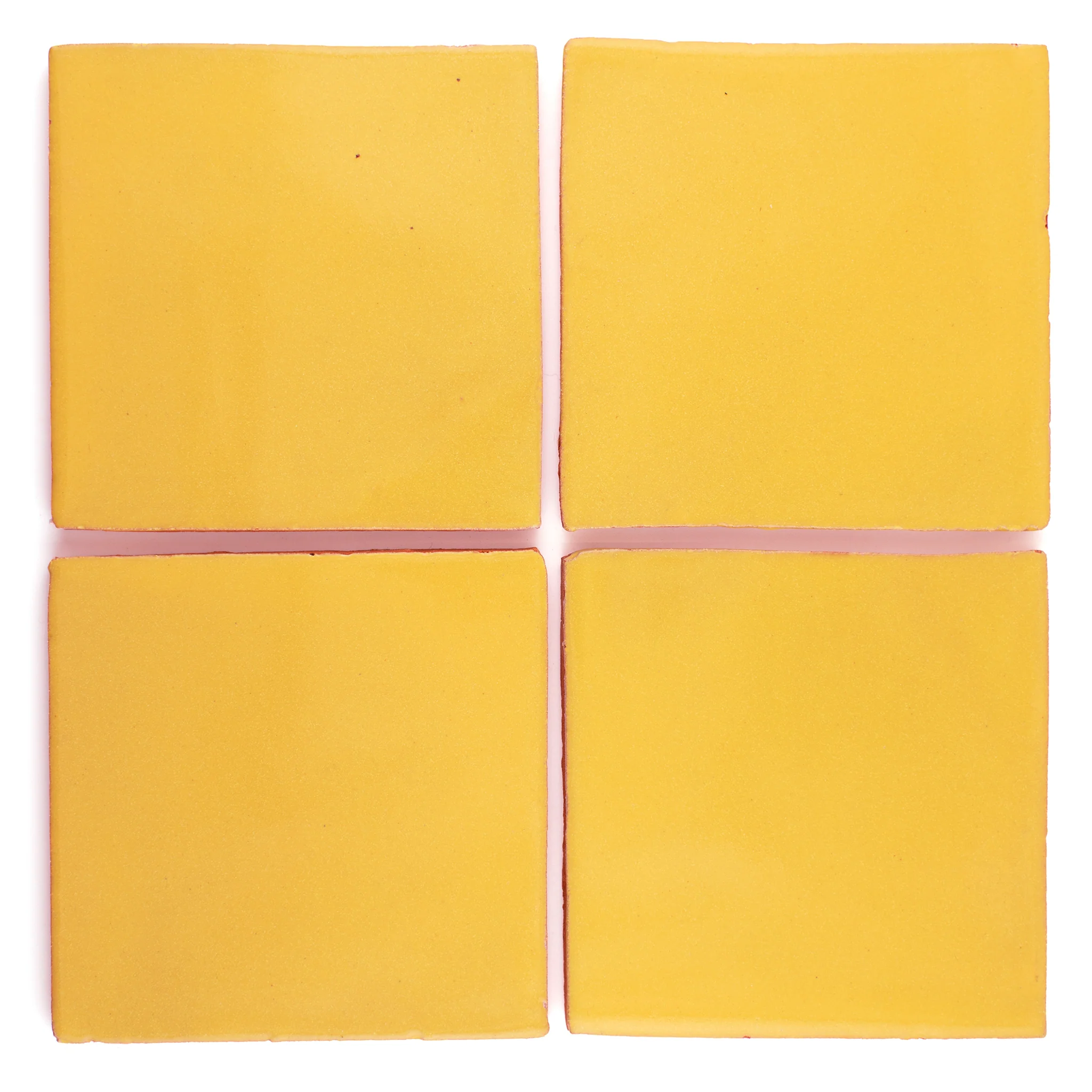 Primrose yellow - Image 2