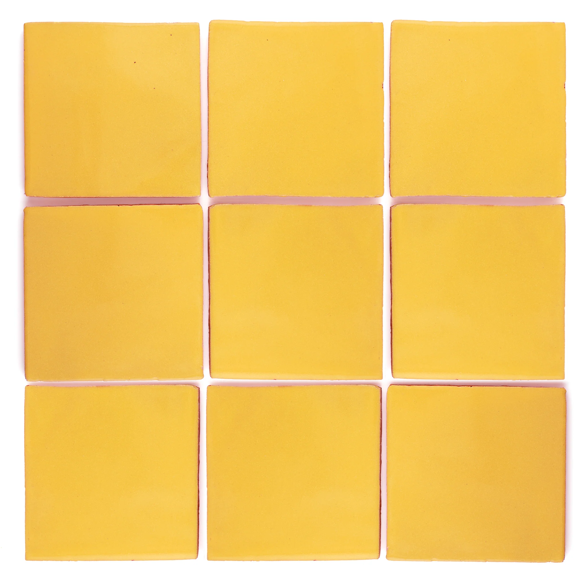 Primrose yellow - Image 3